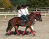 Shownummer mit 2 Wallachen und 4 Kindern, Theres Huber, Königmaiergut._600x800_ - 